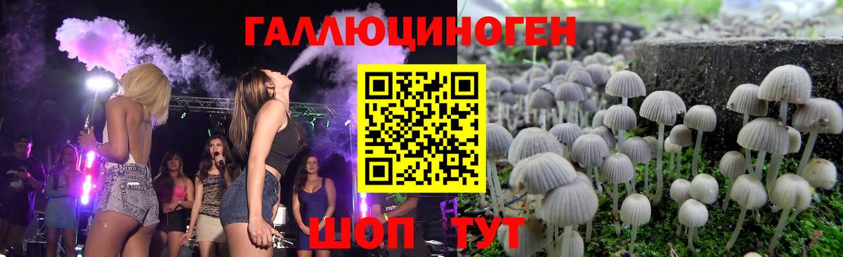 Галлюциногенные грибы Psilocybine cubensis  Галлюциногенные грибы ЛСД  Вход с VPN  Зерноград 