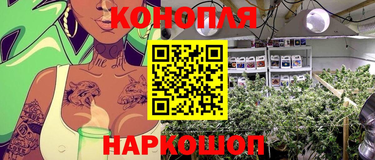 Шишки марихуана планчик  МАРИХУАНА Amnesia  Зерноград  Каннабис Amnesia  Вход с VPN 
